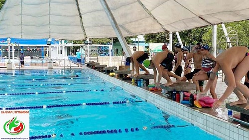 Một buổi tập bơi thi đấu tại hồ bơi Yết Kiêu quận 1